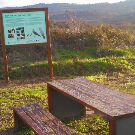 Granollers de Florejacs La Casa Dels Ocells (Adults Only) B&B 외부 사진