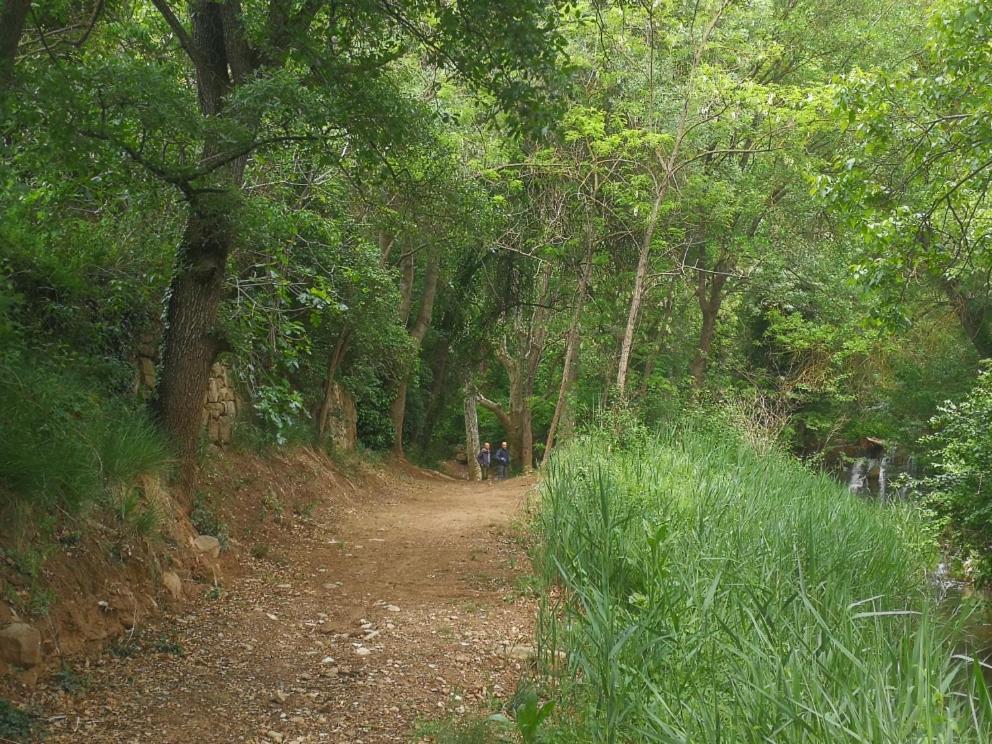 Granollers de Florejacs La Casa Dels Ocells (Adults Only) B&B 외부 사진