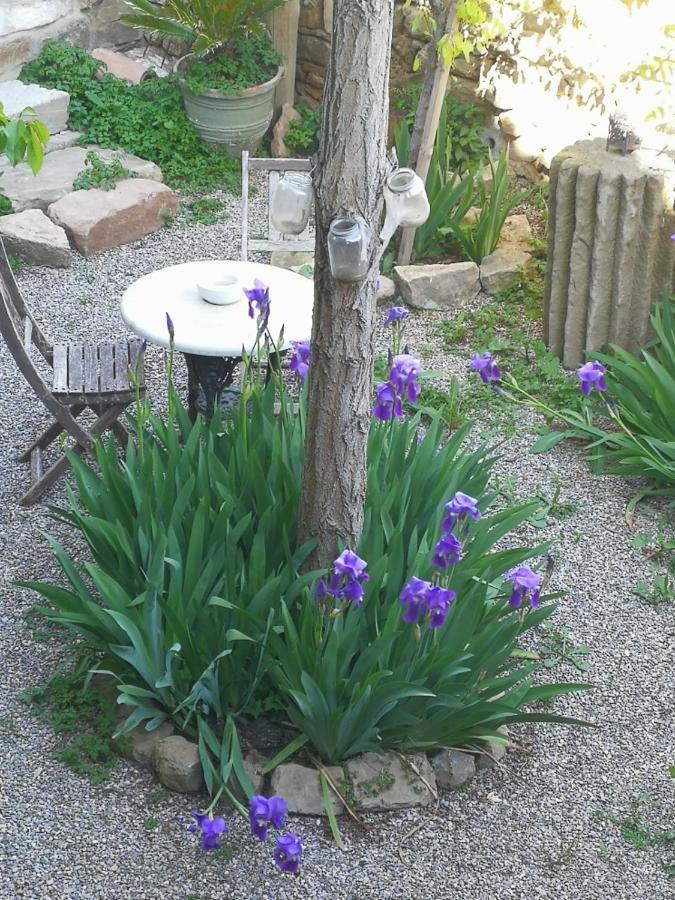 Granollers de Florejacs La Casa Dels Ocells (Adults Only) B&B 외부 사진