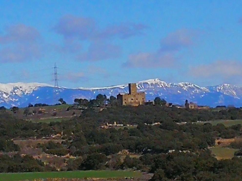 Granollers de Florejacs La Casa Dels Ocells (Adults Only) B&B 외부 사진